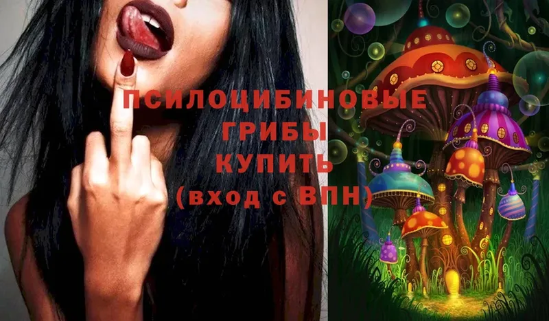 Галлюциногенные грибы Psilocybine cubensis  купить  сайты  Окуловка 